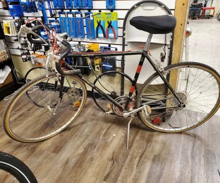 Archer's Bikes Mesa