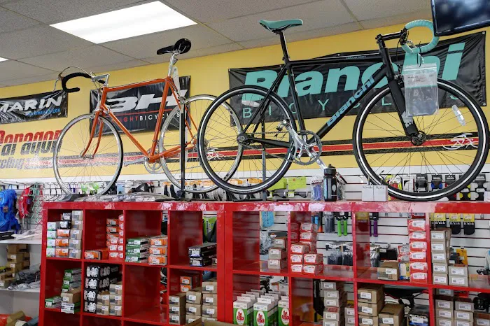 Paragon Cycling Picture 5