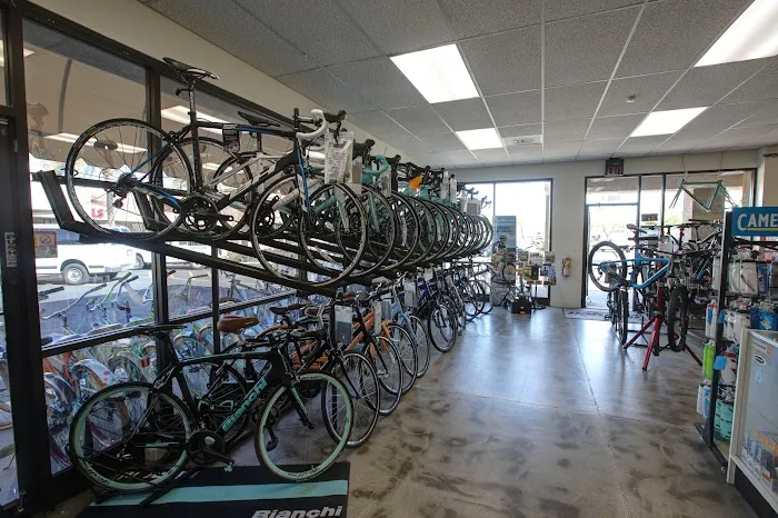 Paragon Cycling Picture 9