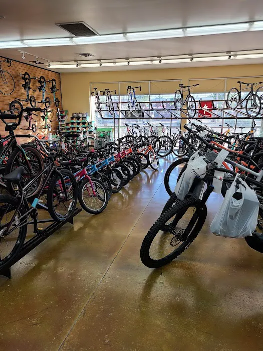 Landis Cyclery Picture 2
