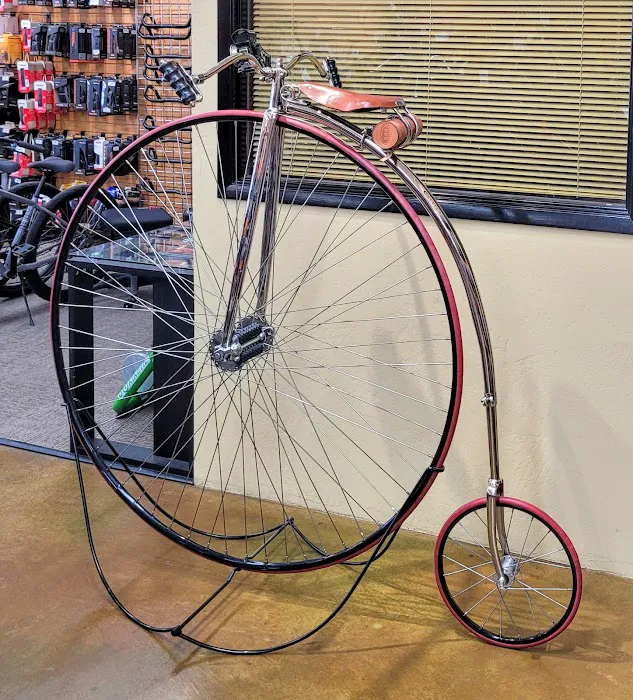 Landis Cyclery Picture 4