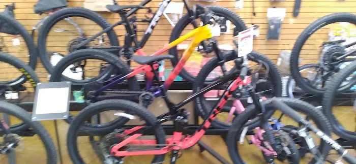 Landis Cyclery Picture 6
