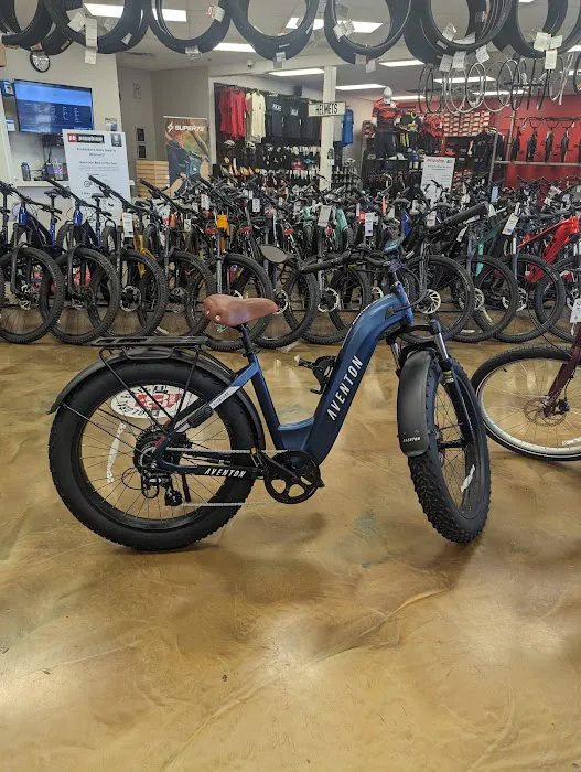 Global Bikes & E-Bikes Picture 4