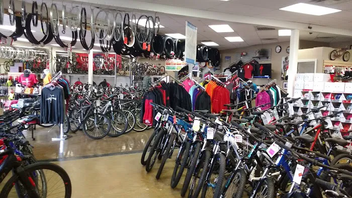 Global Bikes & E-Bikes Picture 3