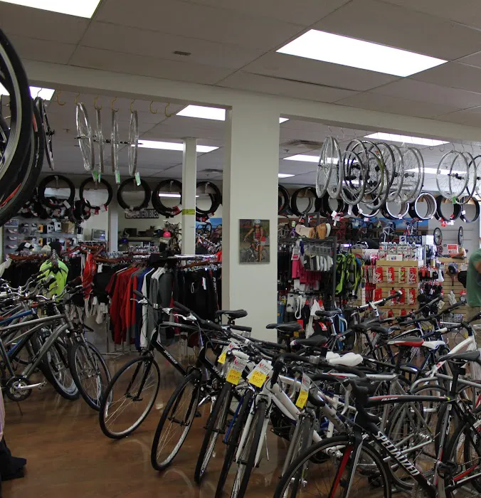 Global Bikes & E-Bikes Picture 5
