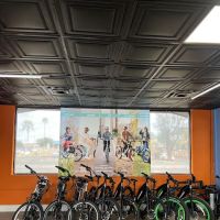 Pedego Electric Bikes Gilbert ico