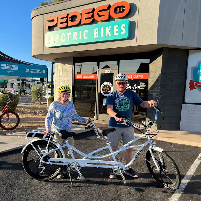 Pedego Electric Bikes Gilbert Picture 8