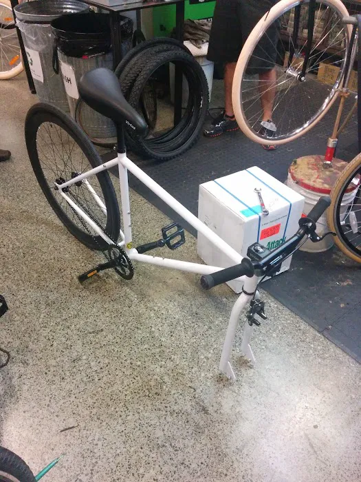 The Bicycle Cellar Picture 2