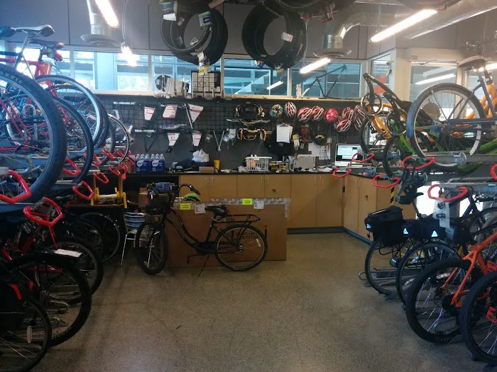 The Bicycle Cellar Picture 1