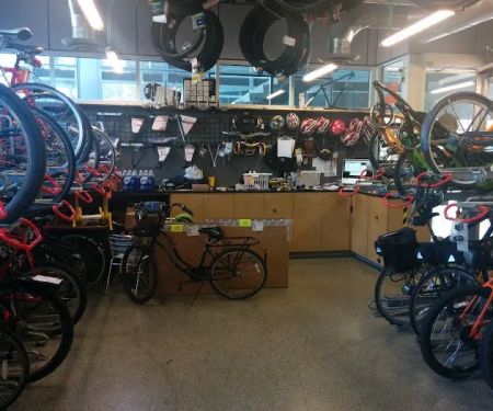 The Bicycle Cellar