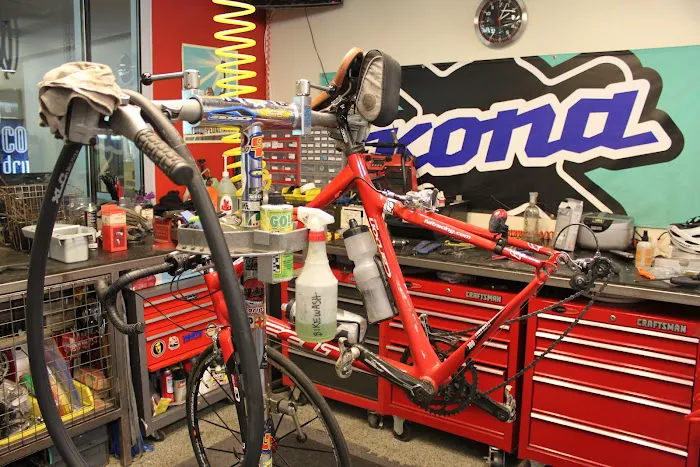 The Bicycle Cellar Picture 7