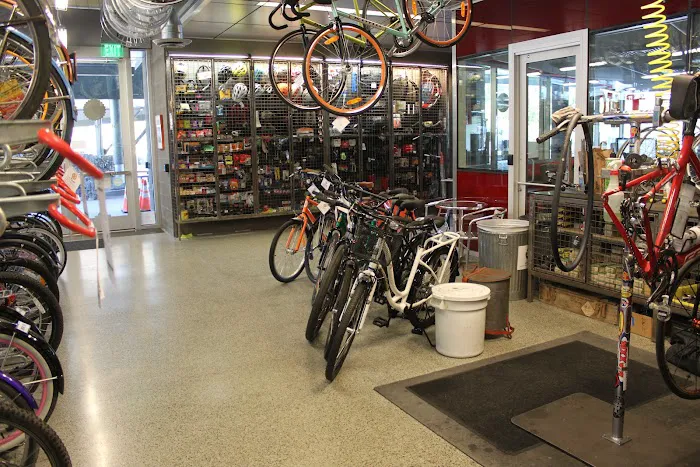 The Bicycle Cellar Picture 5