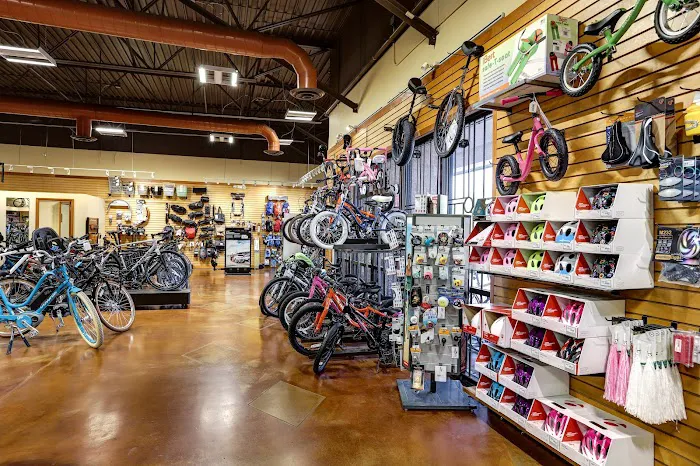 Landis Cyclery Picture 4