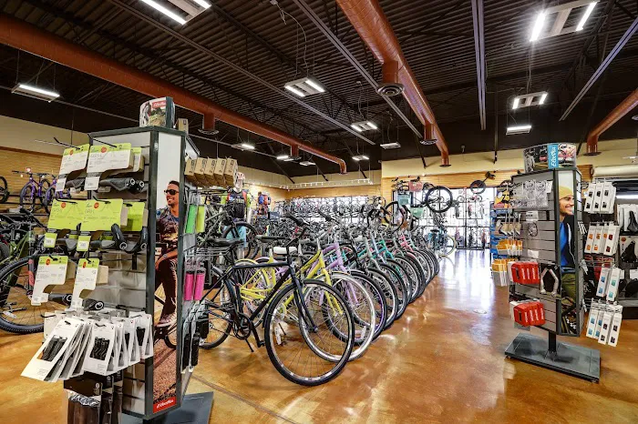 Landis Cyclery Picture 8