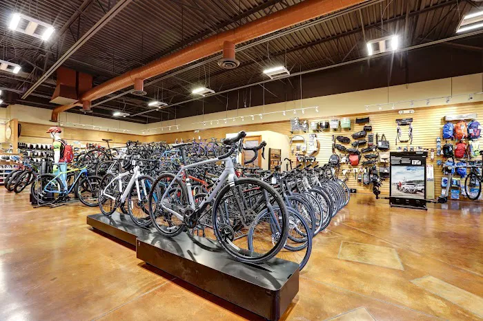Landis Cyclery Picture 10