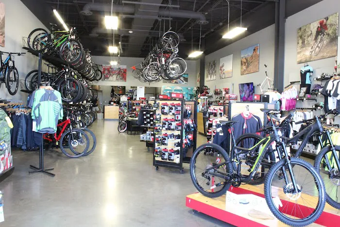 Bike Masters - Gilbert Picture 3