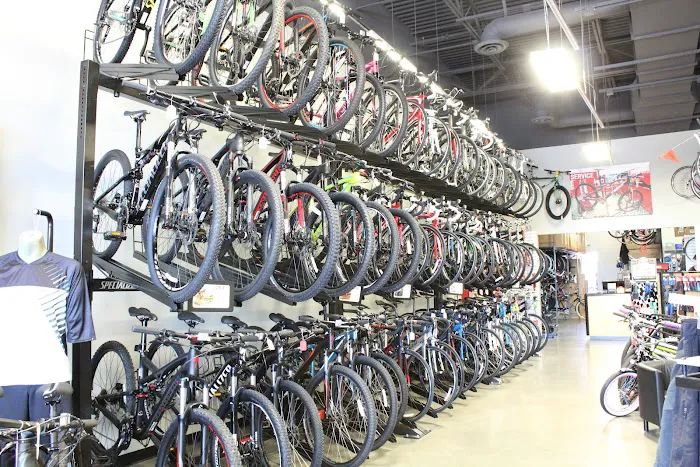 Bike Masters - Gilbert Picture 6