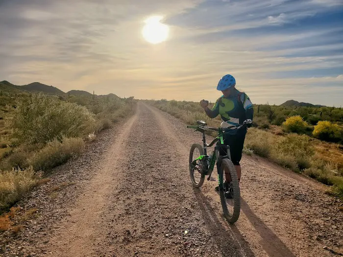 Bike Masters - Gilbert Picture 4