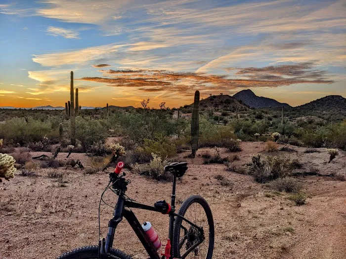 Bike Masters - Gilbert Picture 7