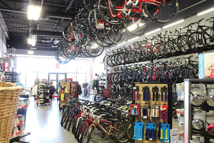 Bike Masters - Gilbert Picture 8