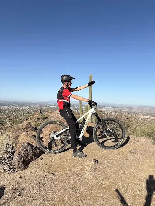 Action Rideshop Picture 8