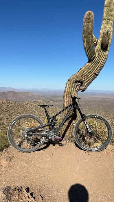 Action Rideshop Picture 9