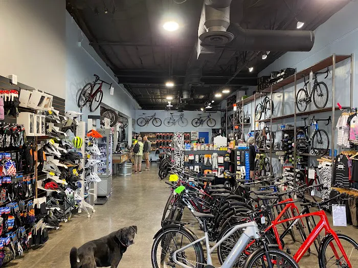 HAWES HOUSE Bike Shop Picture 8