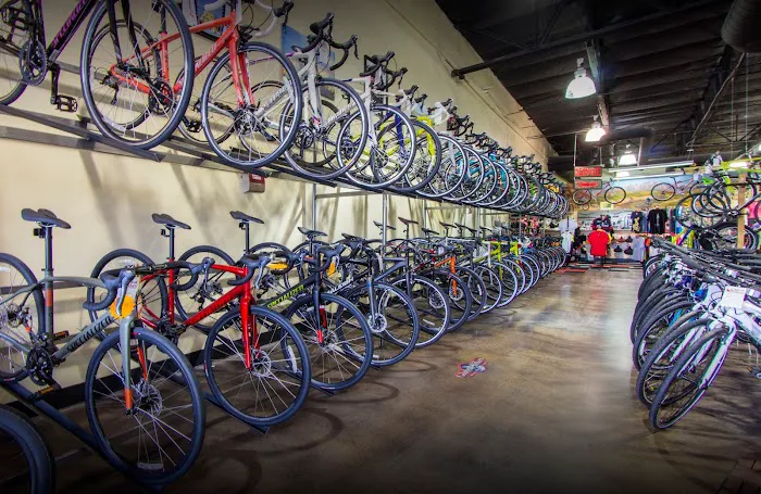 Global Bikes & E-Bikes Picture 1