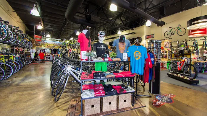 Global Bikes & E-Bikes Picture 3
