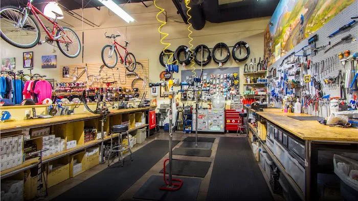 Global Bikes & E-Bikes Picture 4