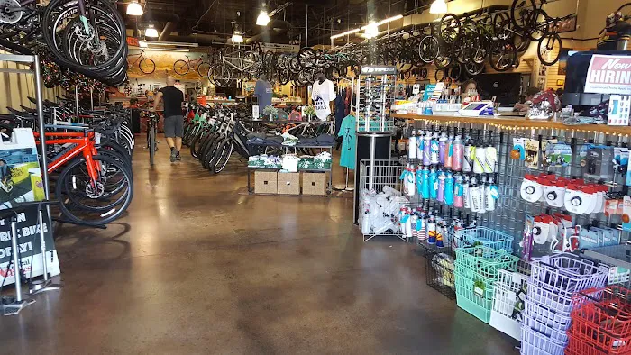 Global Bikes & E-Bikes Picture 6