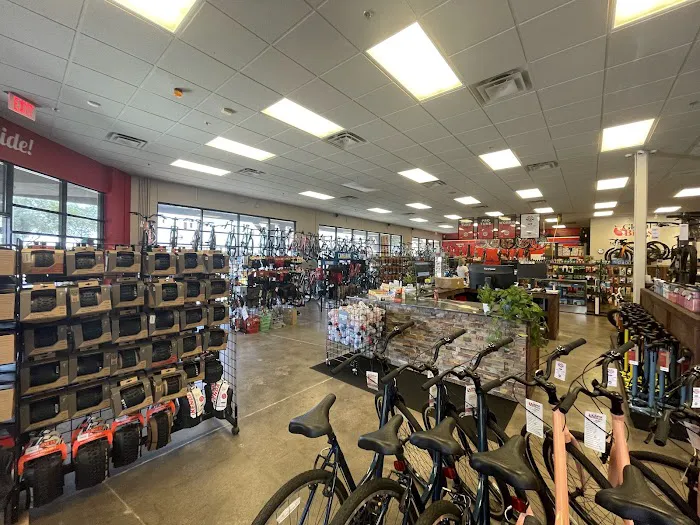 Global Bikes & E-Bikes Picture 1