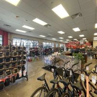 Global Bikes & E-Bikes ico