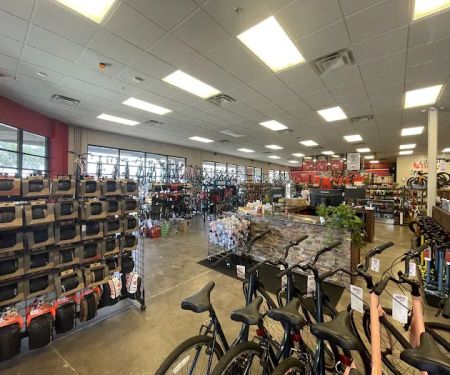 Global Bikes & E-Bikes