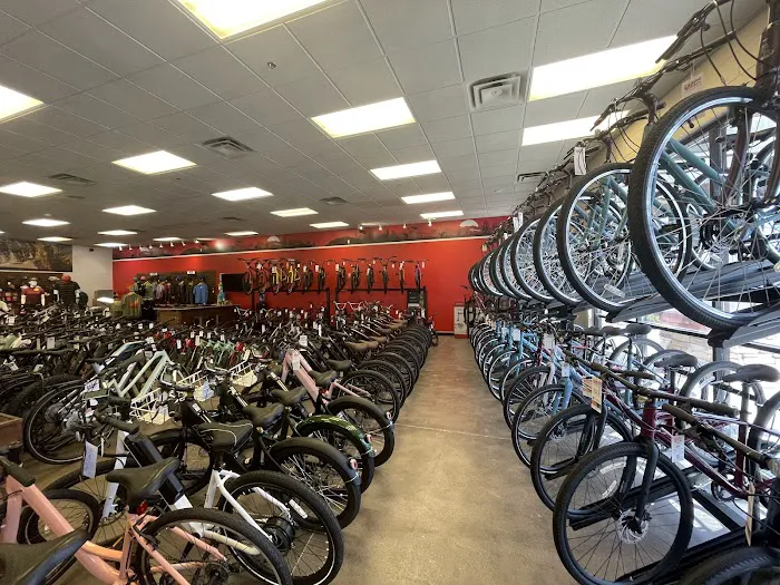 Global Bikes & E-Bikes Picture 7