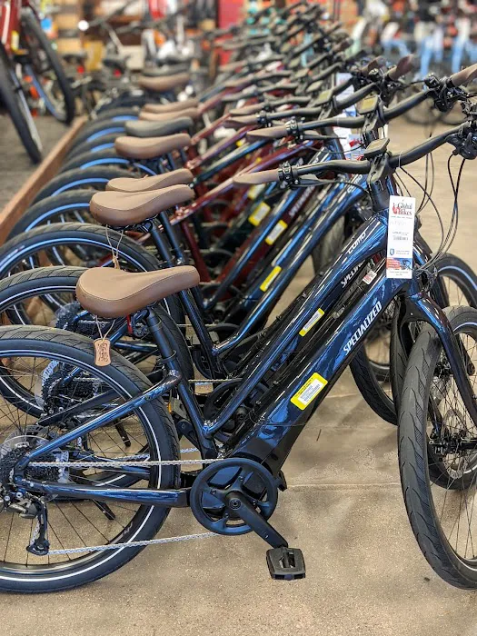 Global Bikes & E-Bikes Picture 10