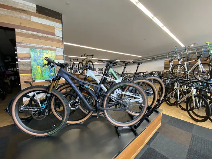 Bicycle Haus Picture 3