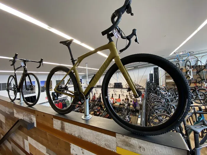 Bicycle Haus Picture 4