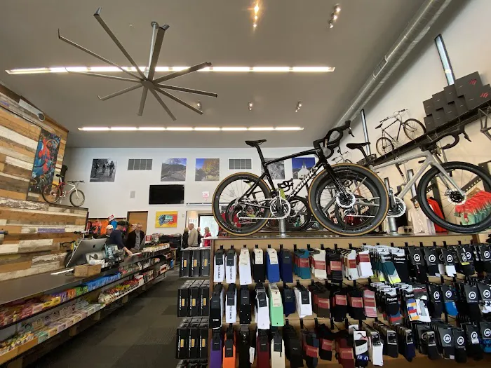 Bicycle Haus Picture 5
