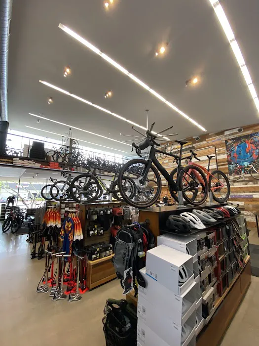 Bicycle Haus Picture 7