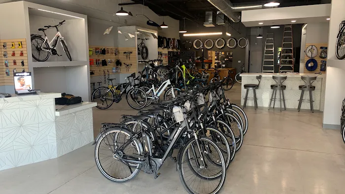 PedalJetz Ebikes Picture 3