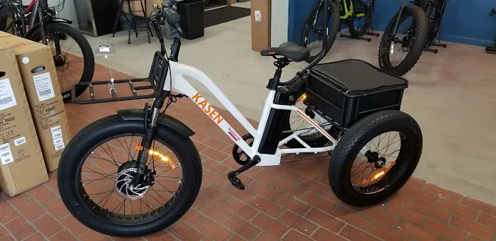 PedalJetz Ebikes Picture 1
