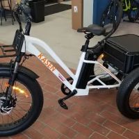 PedalJetz Ebikes ico
