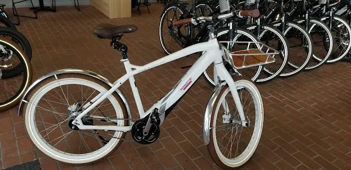 PedalJetz Ebikes Picture 7