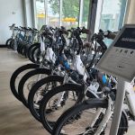 Magnum Electric Bikes, Scottsdale