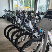 Magnum Electric Bikes, Scottsdale ico
