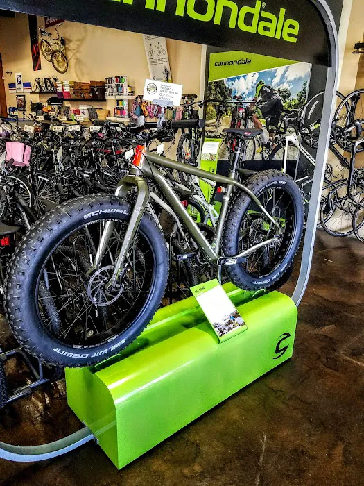 Bike Emporium Picture 3