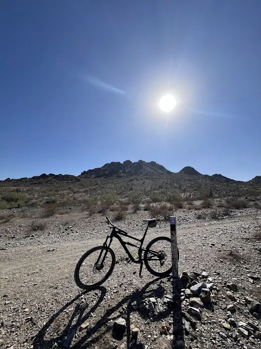 Bike Emporium Picture 10