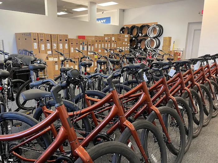 Junction Bike Company and Rentals Picture 3