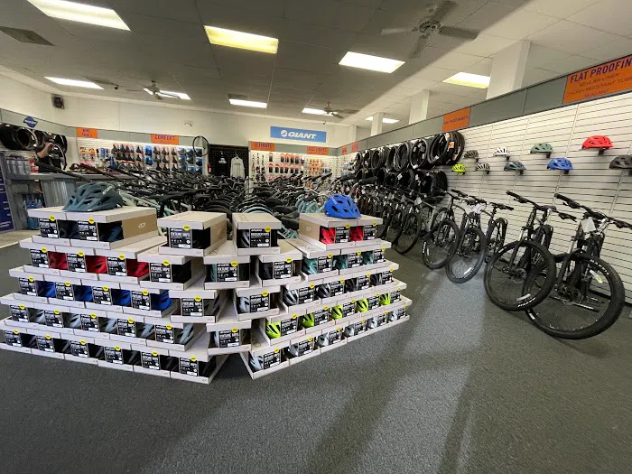 Junction Bike Company and Rentals Picture 1